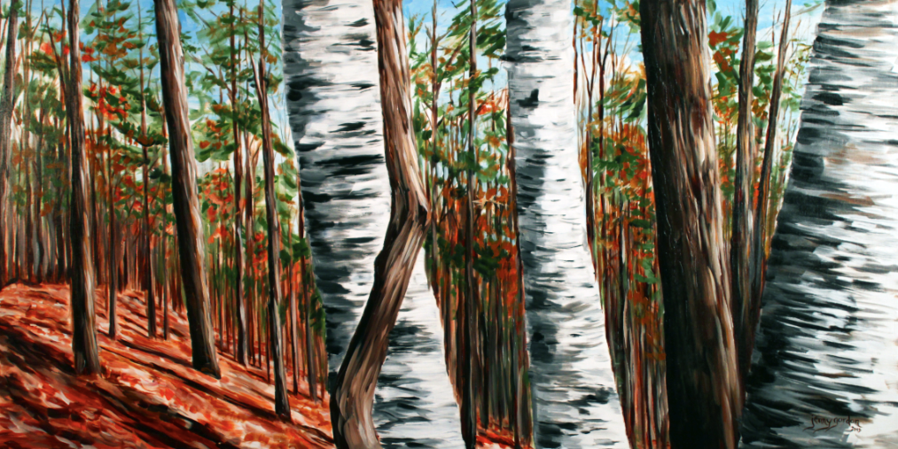 Painting of Birches In The Fall by Jenny Gordon