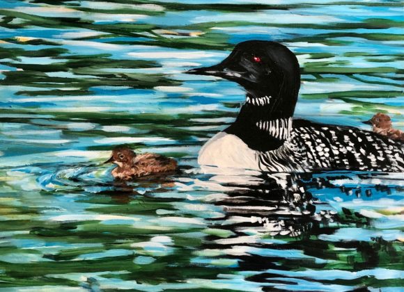 Mother Loon and Babies Mother Loon and Babies